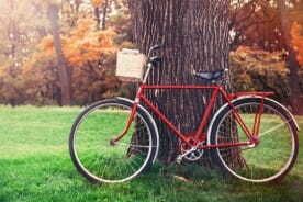 vintage bicycle against a tree trunk