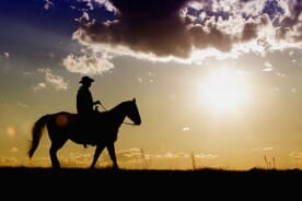 Cowboy Riding a Horse at Sunset
