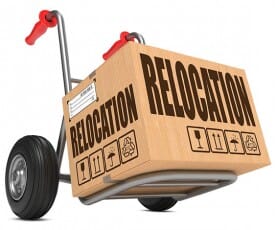 Relocation Box with Hand Truck