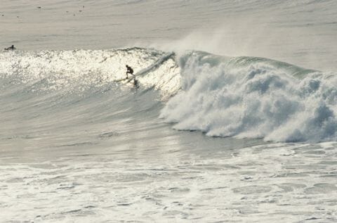 Santa Cruz surfer