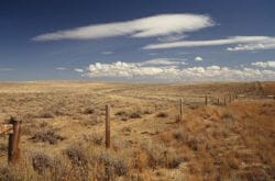 Wyoming prairie