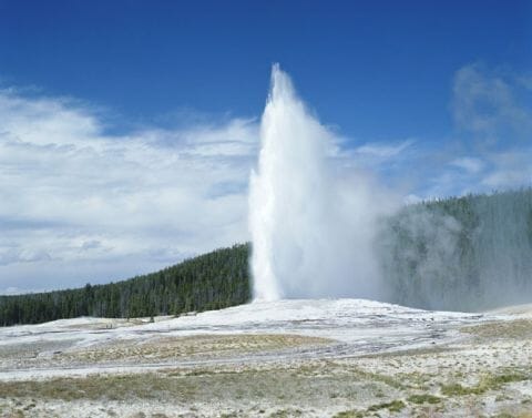 Old Faithful geyser in Yellowstone Park, Wyoming